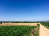 Camino de Santiago 2017-0393