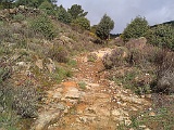 Camino de Levante 2012 0714