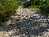 Camino de Levante 2012 2420