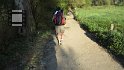 Camino de Santiago 2013 0967