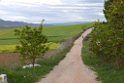 Camino francés 2015.343