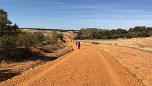 Camino de Santiago 2017-1177